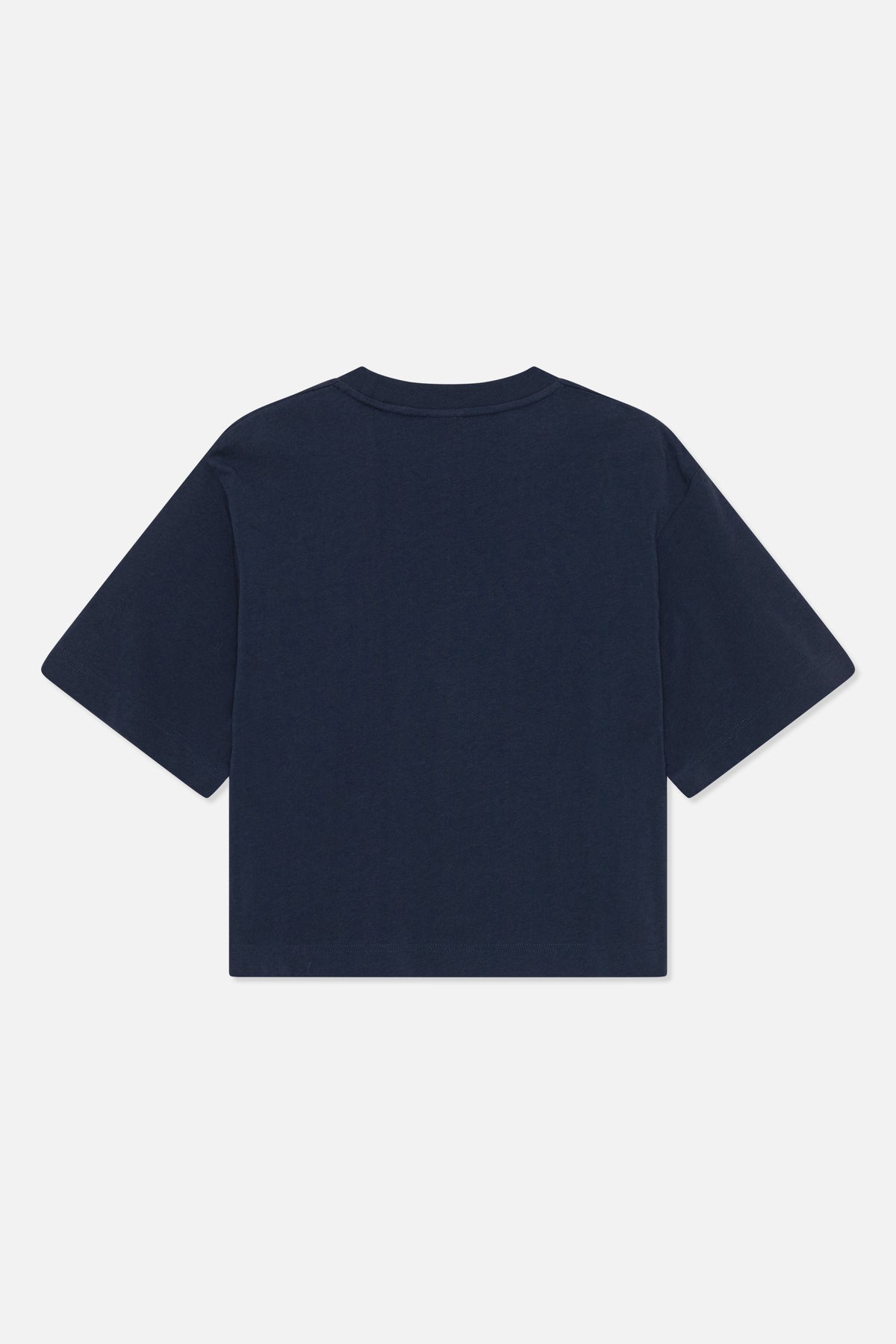 Back view of a plain dark navy short-sleeved crew-neck T-shirt.