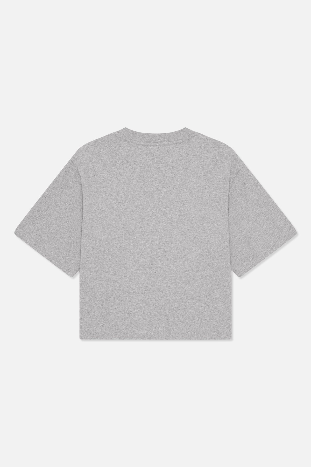 Back view of a plain heather gray short-sleeved T-shirt with a crew neckline.