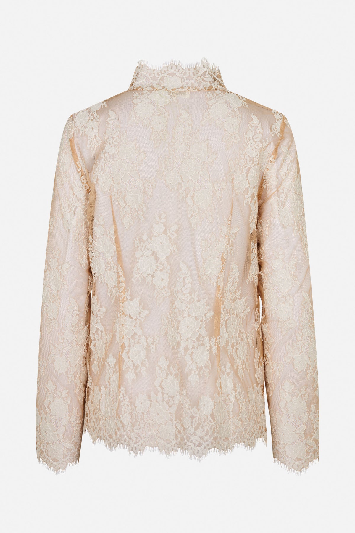 Zarte, transparente Spitzenbluse in zartrosa mit floralem Muster, hohem Kragen und geschwungenen Kanten, in Nahaufnahme.