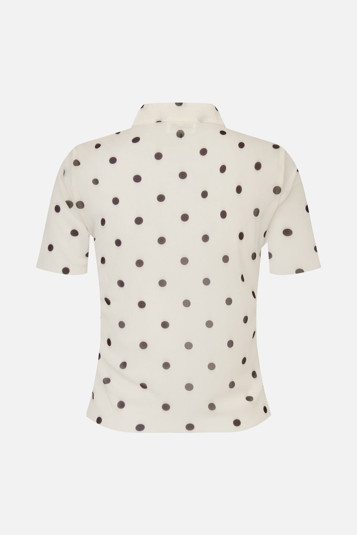 Back view of an ivory short-sleeved blouse with a stand collar and scattered dark polka dots.