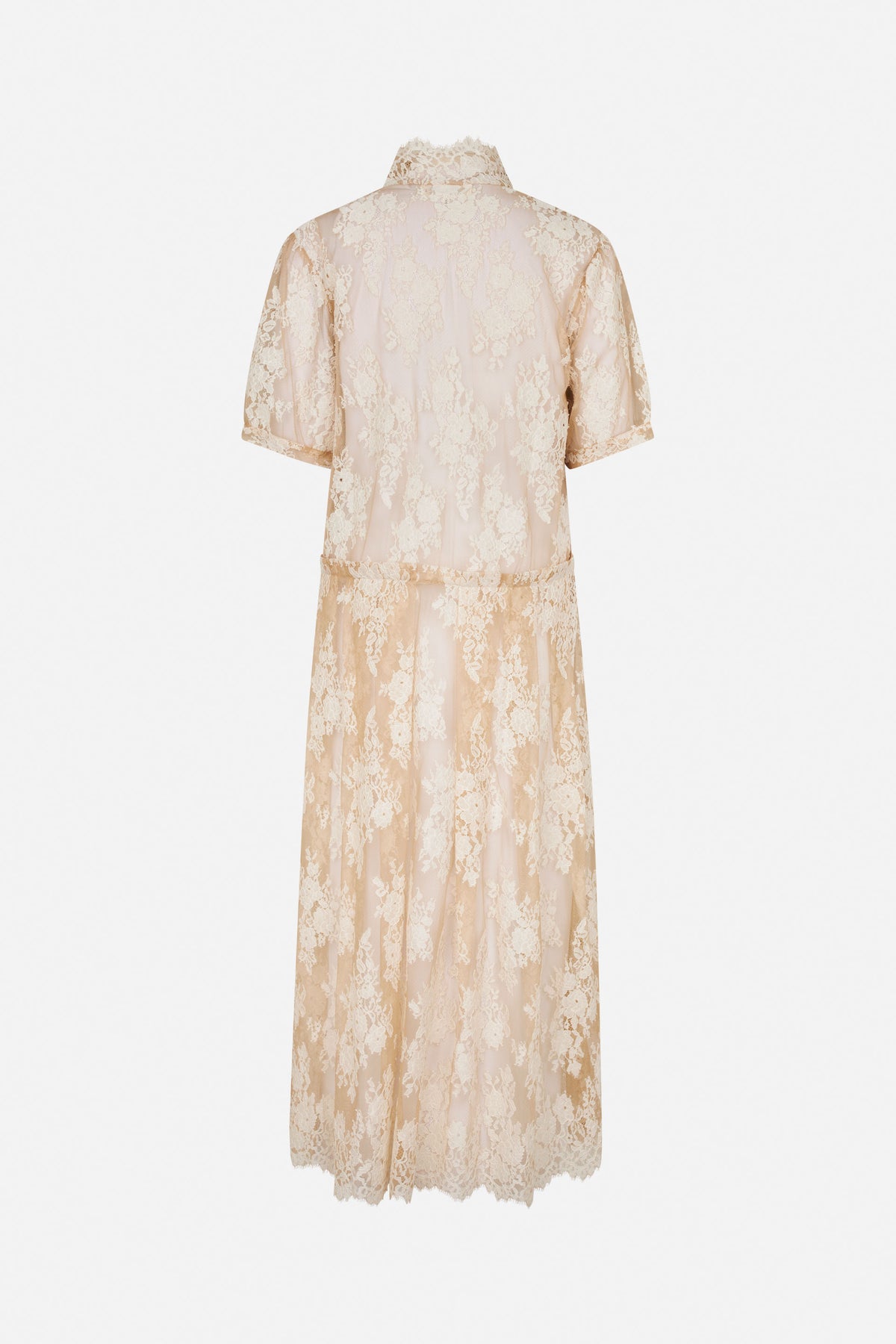 Vue de dos d'une longue robe beige en dentelle florale, col montant, manches courtes et taille marquée