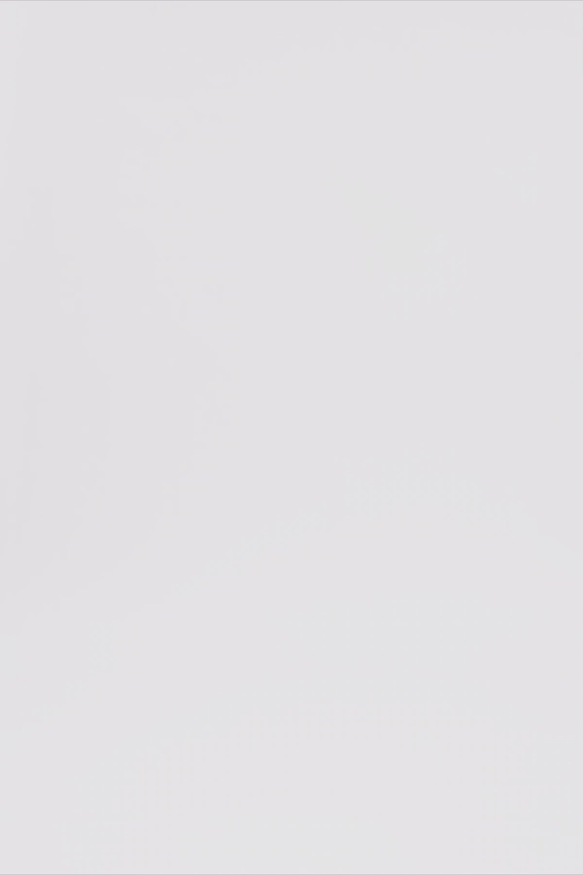 24627_8219_3.mov media file